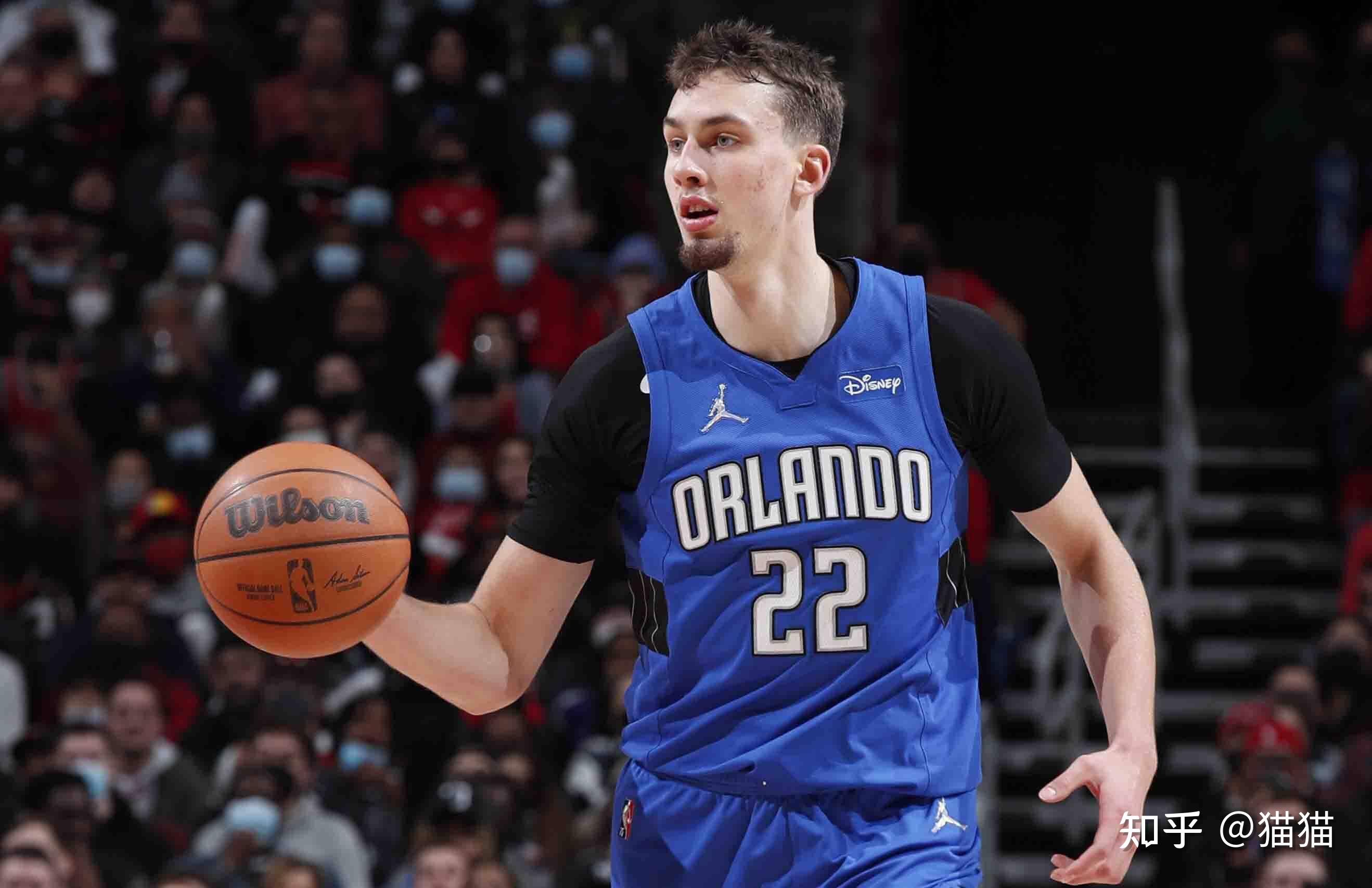 怀特的内收 怀特的内收