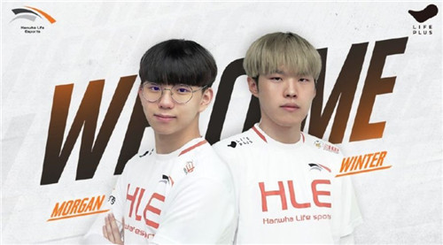 对观赛文化 对观赛文化